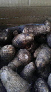 180(W)×320(H) 27.23