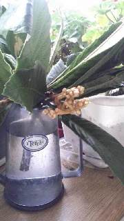 180(W)×320(H) 36.33