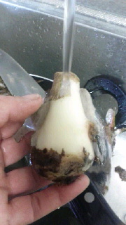 180(W)×320(H) 28.44