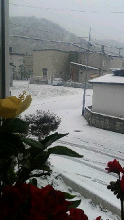 180(W)×320(H) 30.86