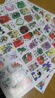 180(W)×320(H) 51.16