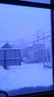 180(W)×320(H) 24.59