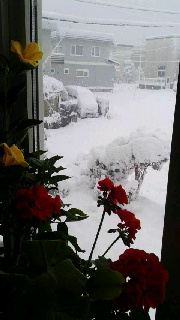 180(W)×320(H) 29.87