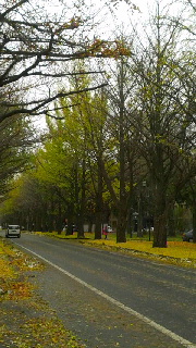 180(W)×320(H) 46.17