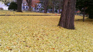 320(W)×180(H) 50.13