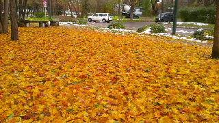 320(W)×180(H) 58.58