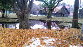 320(W)×180(H) 52.67