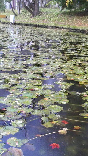 180(W)×320(H) 49.43