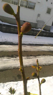 180(W)×320(H) 33.27