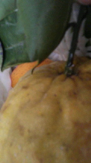 180(W)×320(H) 21.93