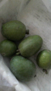 180(W)×320(H) 21.35