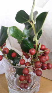 180(W)×320(H) 33.23