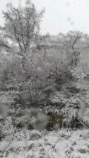 180(W)×320(H) 41.37