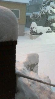 180(W)×320(H) 24.32