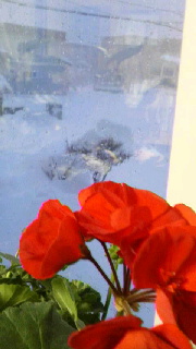 180(W)×320(H) 29.35