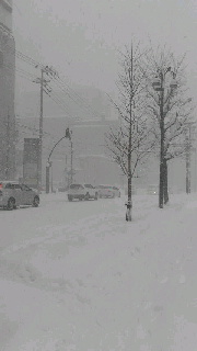 180(W)×320(H) 19.31