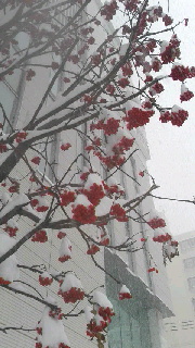 180(W)×320(H) 41.13