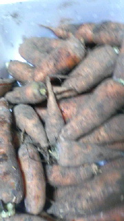 ファイル名: 2016122019480000.jpg
ファイルサイズ: 30.51KB 180(W)×320(H) 30.51