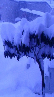 180(W)×320(H) 27.81