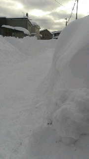 180(W)×320(H) 18.86